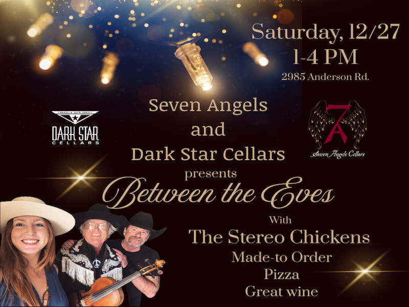 Between the Eves Live Music by the Stereo Chickens