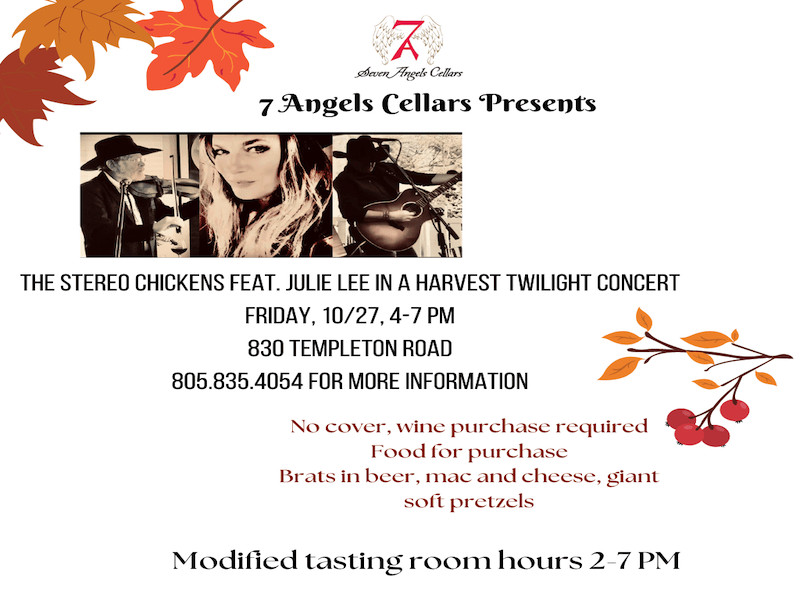 Twilight Concert With the Stereo Chickens