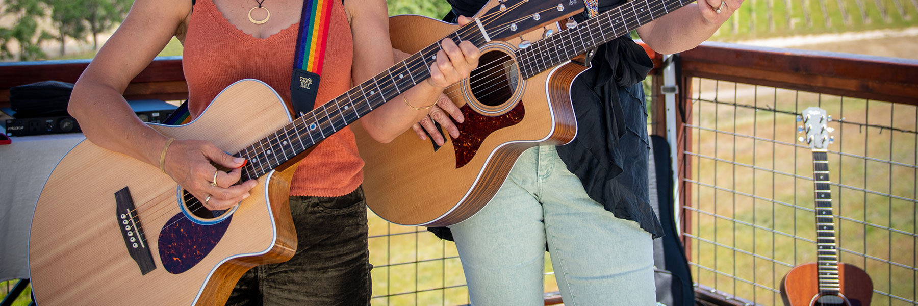 Live Music with the Stereo Chickens